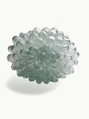 GRAPPE M· Transparente