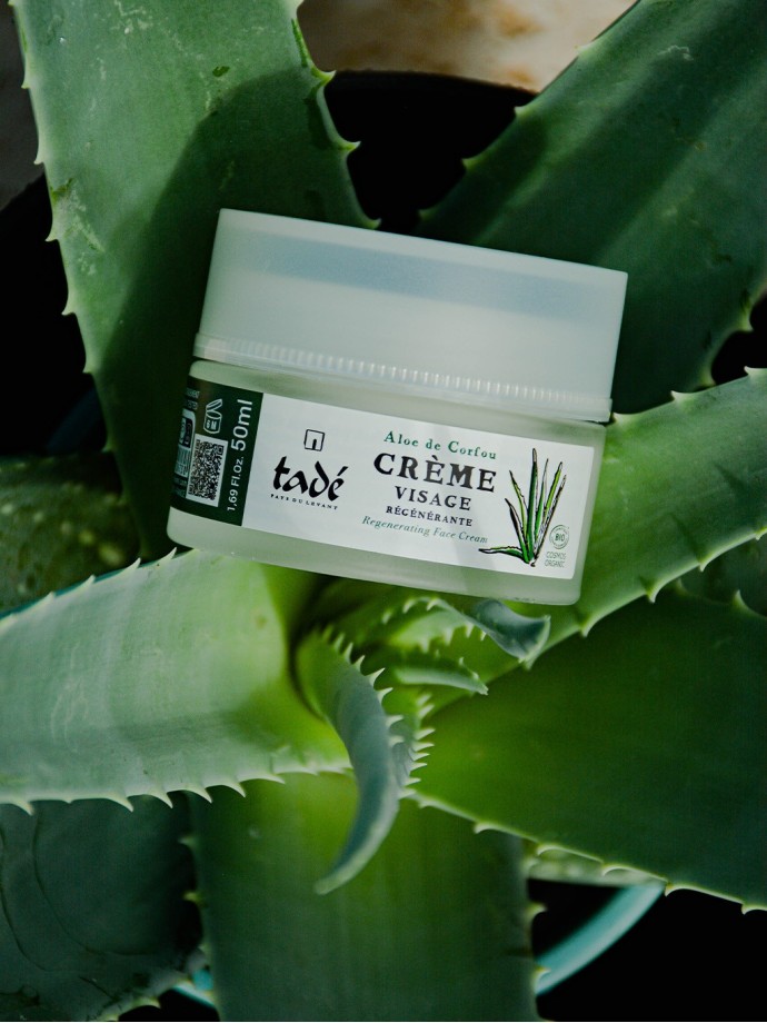 Regenerating face cream Aloe from Corfu Cosmos Organic