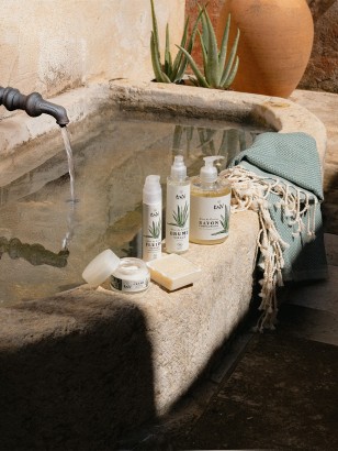 SAVON SURGRAS · Aloe de Corfou