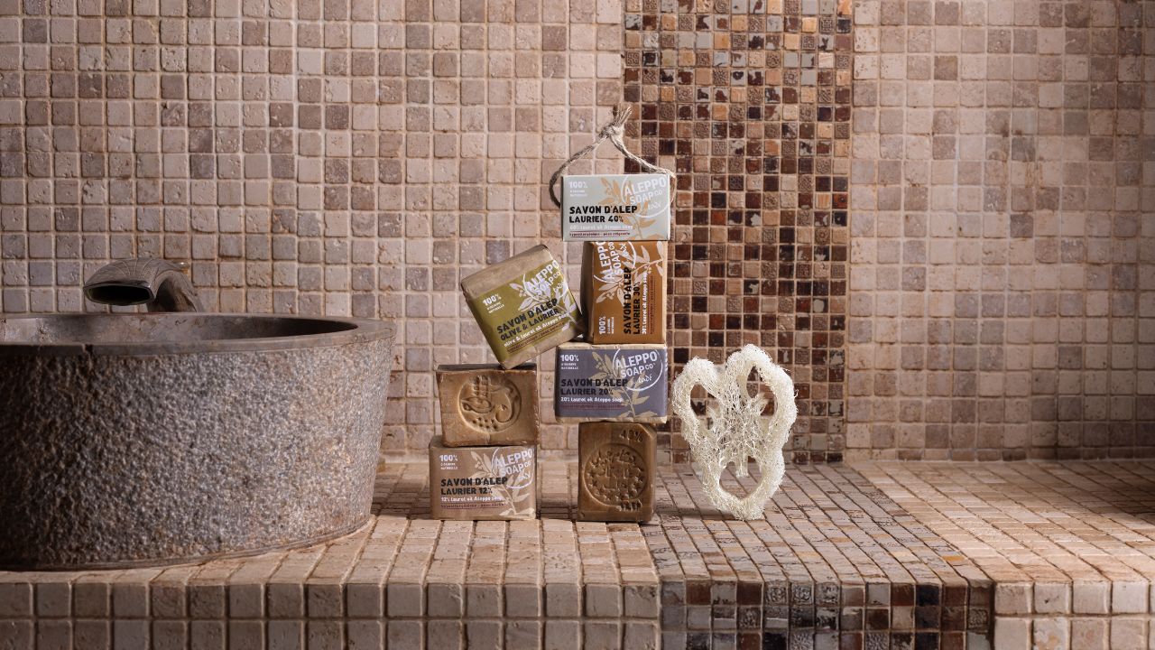 ASALEP Slide background