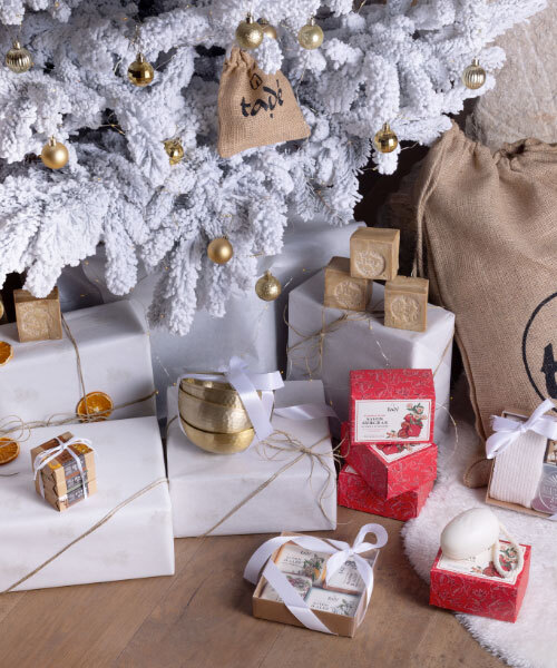 IMAGE-POP-UP-SANS-TEXTE (1).jpg