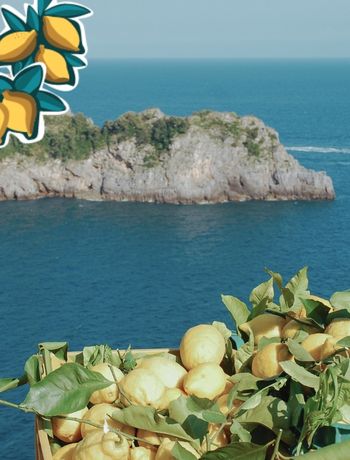 CITRON DE SICILE
