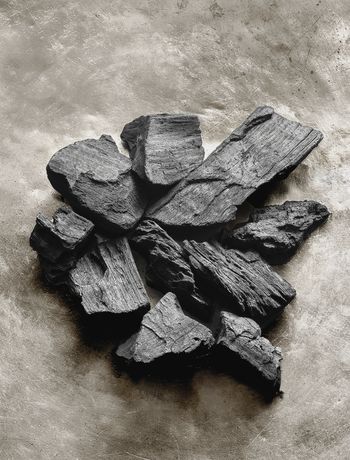LE CHARBON VÉGÉTAL