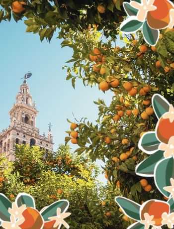 ANDALUSIAN NEROLI